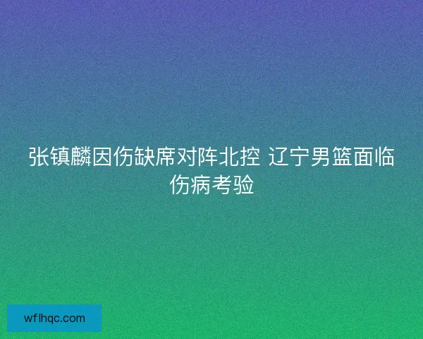 张镇麟因伤缺席对阵北控 辽宁男篮面临伤病考验
