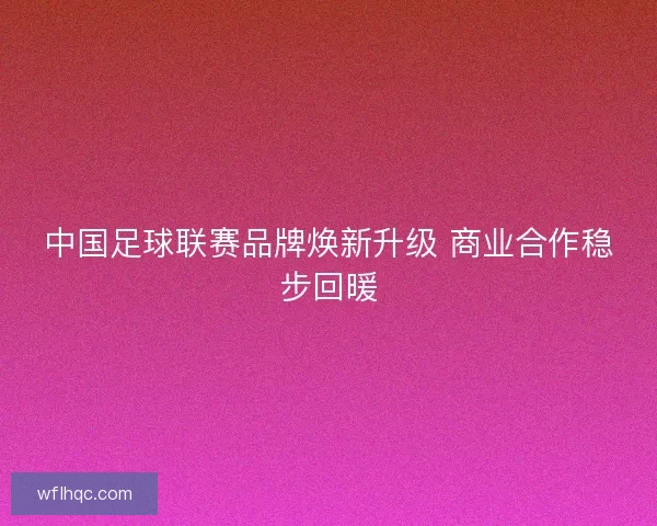 中国足球联赛品牌焕新升级 商业合作稳步回暖